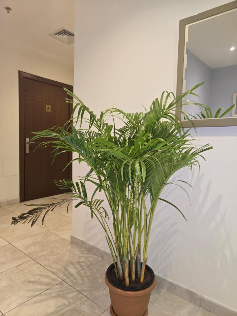 Al Raya Hotel Apartments 두바이 외부 사진